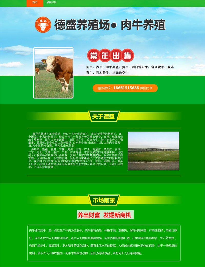 綠色產(chǎn)品宣傳單頁(yè)模板...